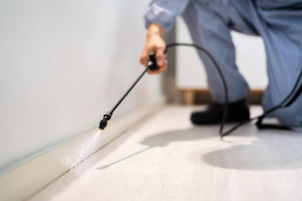 Rodent Entry Point Assessment in South Hill