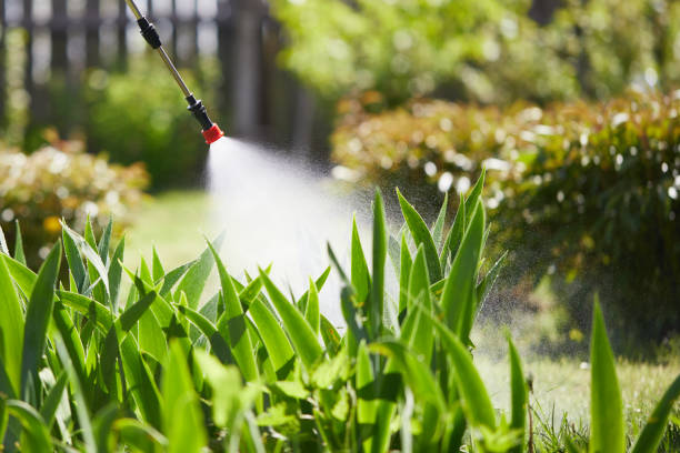 Tamper-Resistant Bait Stations for Rodents in South Hill
